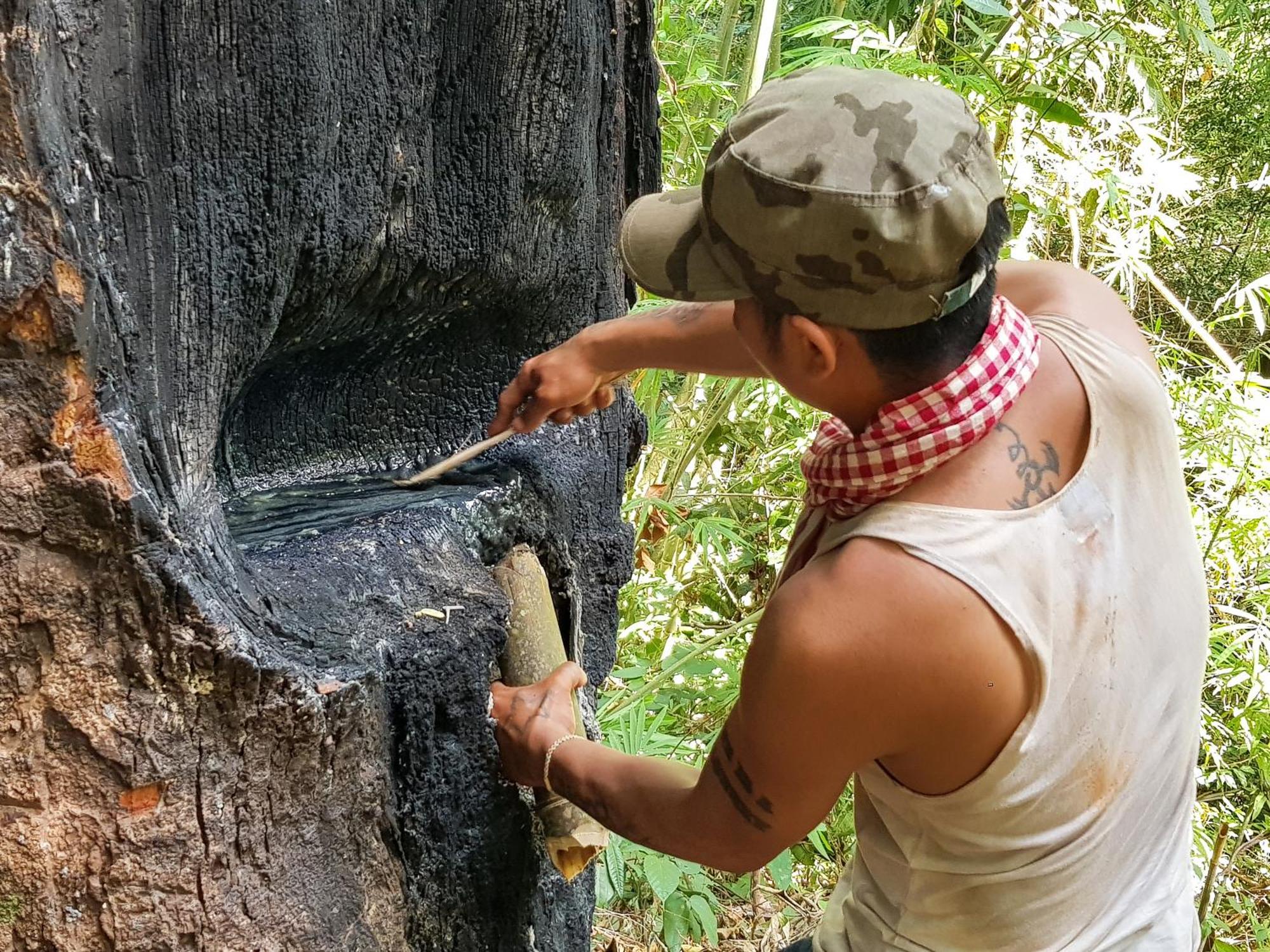 Ratanakiri Homestay & Jungle Trek Banlung Dış mekan fotoğraf